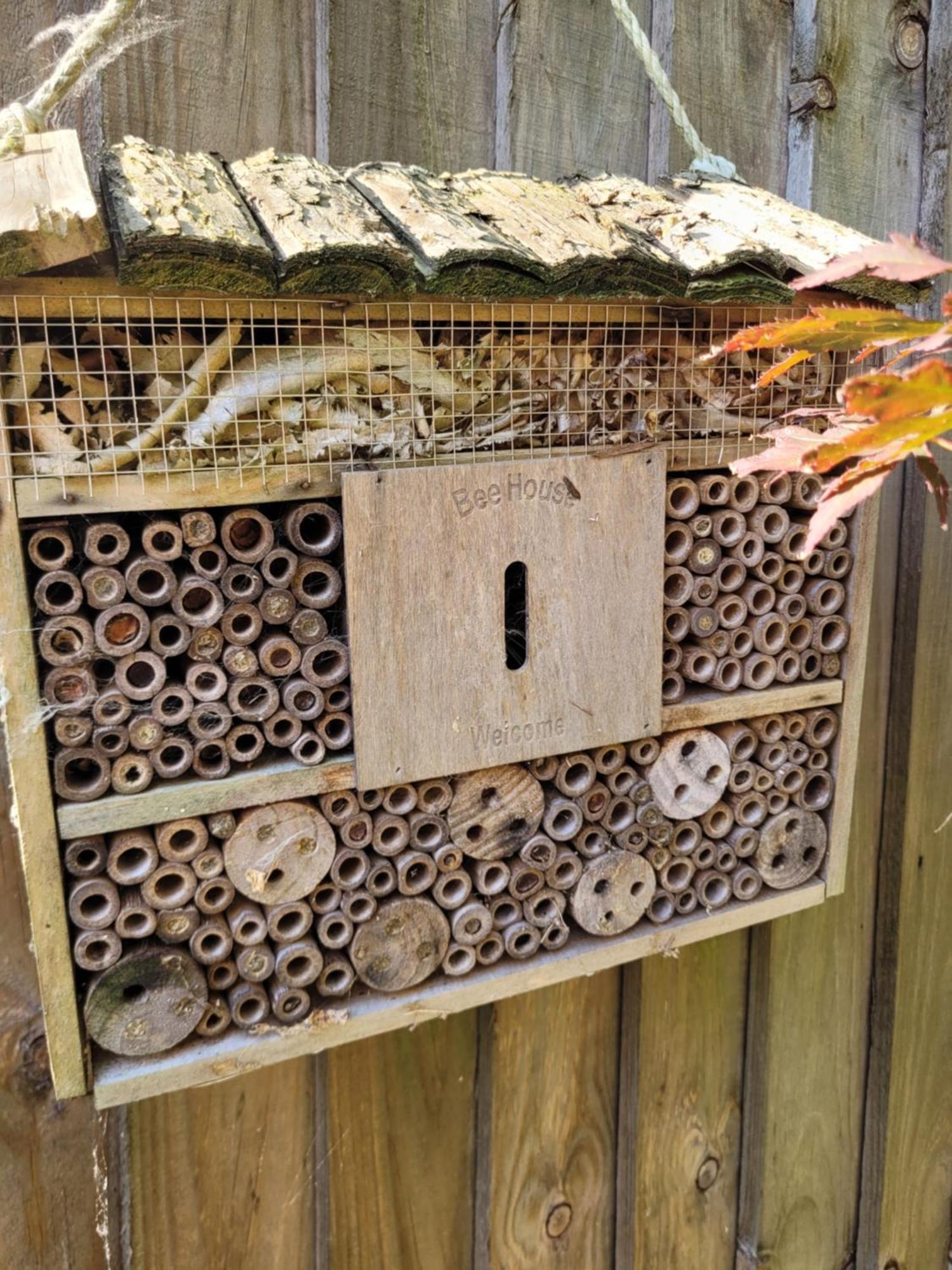 Bumblebee Bungalow - With Separate Office And Gaming Space By Catchpole Stays Colchester Ngoại thất bức ảnh